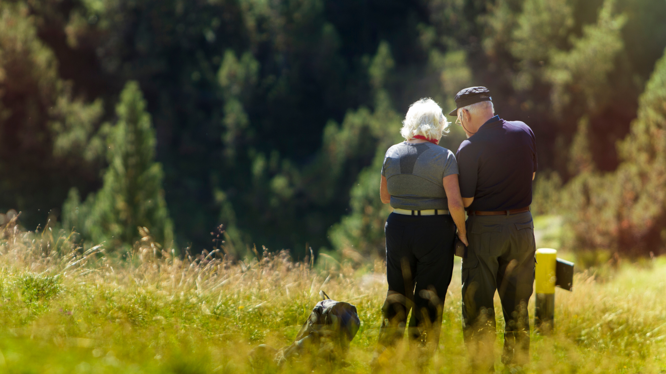 Two elderly people walk together through a grassy field with a dog, surrounded by trees and nature, enjoying the peace and security that dependency and indemnity compensation can provide.